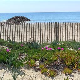 Camping nature en bord de mer 